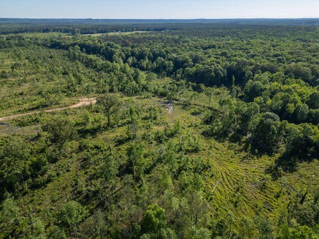 Land for sale in Choctaw, Mississippi