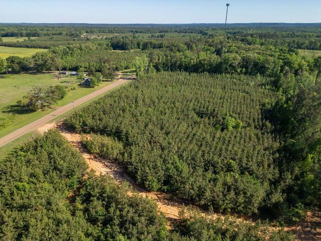 Land for sale in Choctaw, Mississippi