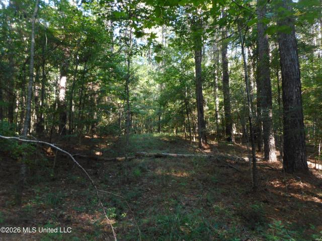 Land for sale in Philadelphia, Mississippi