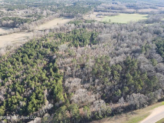 Land for sale in Hazlehurst, Mississippi