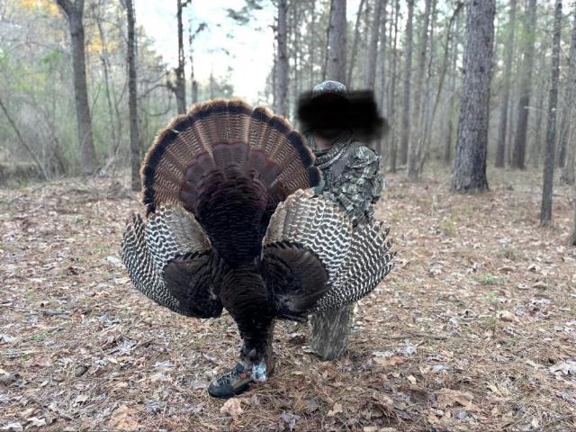 Land for sale in Vaiden, Mississippi