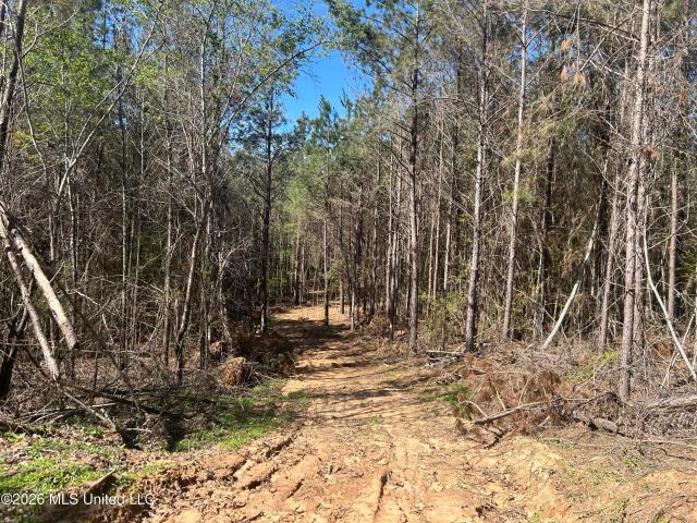 Land for sale in Pontotoc, Mississippi