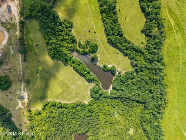 Land for sale in Poplarville, Mississippi
