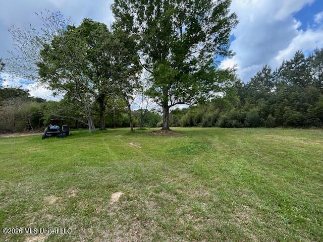 Land for sale in Tylertown, Mississippi
