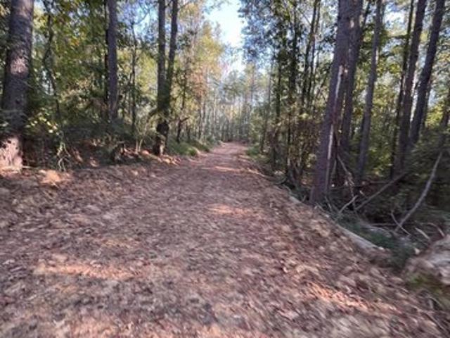 Land for sale in Como, Panola County