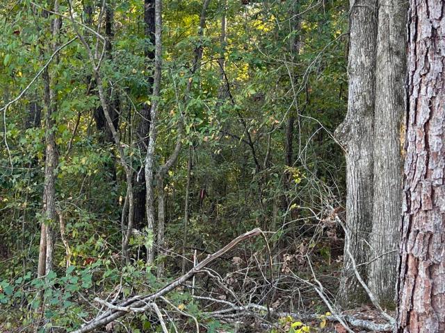 Land for sale in Glenville, Como
