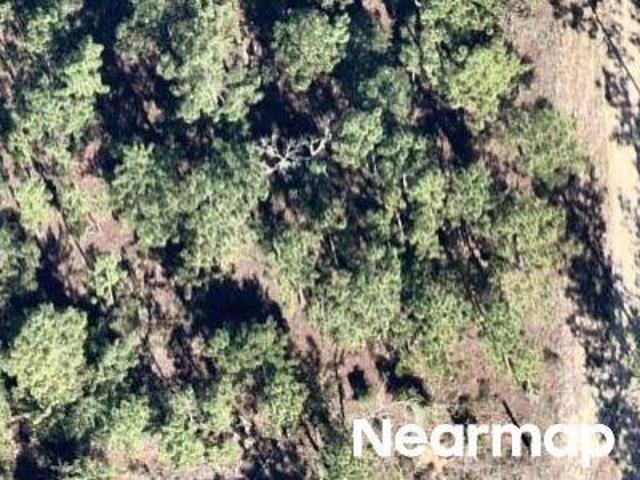 Land for sale in Hawthorne, Florida