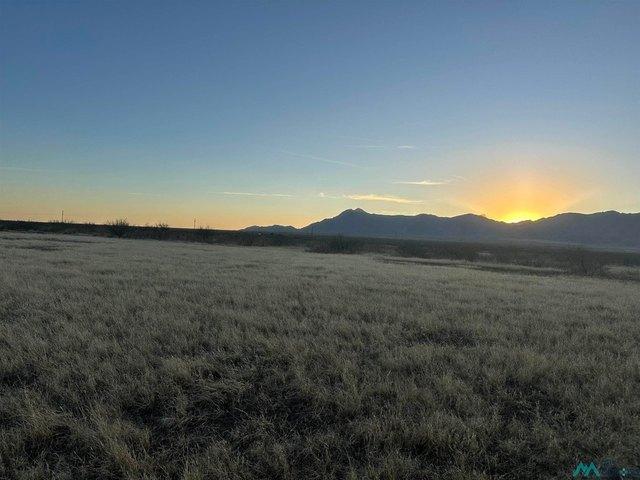 Land for sale in Luna, New Mexico
