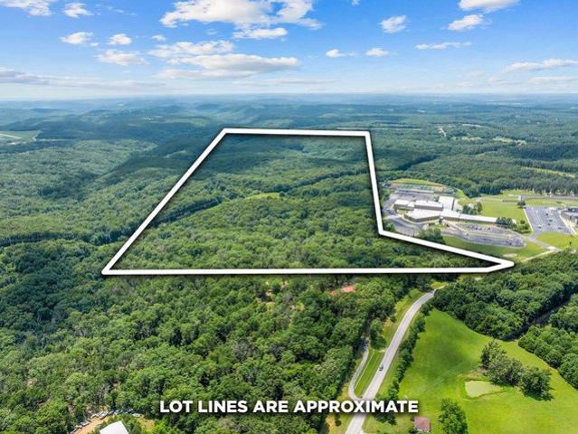 Land for sale in Stone, Missouri
