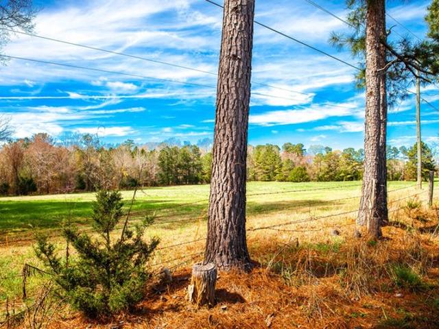 Land for sale in Appling, Georgia