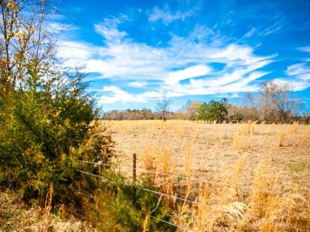 Land for sale in Appling Land for sale in Appling