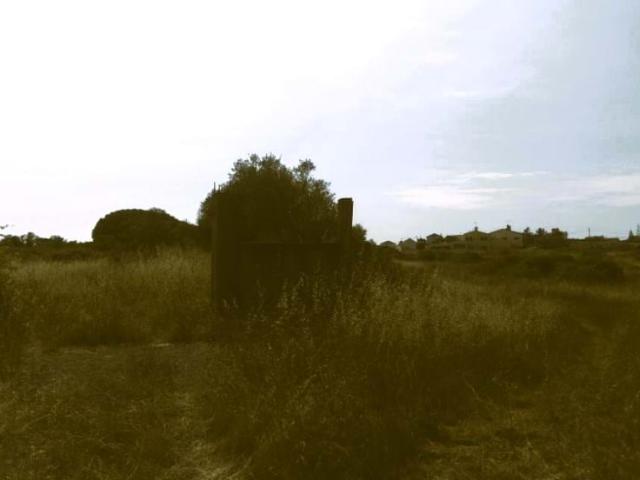 Terreno venda em Sintra, Lisboa