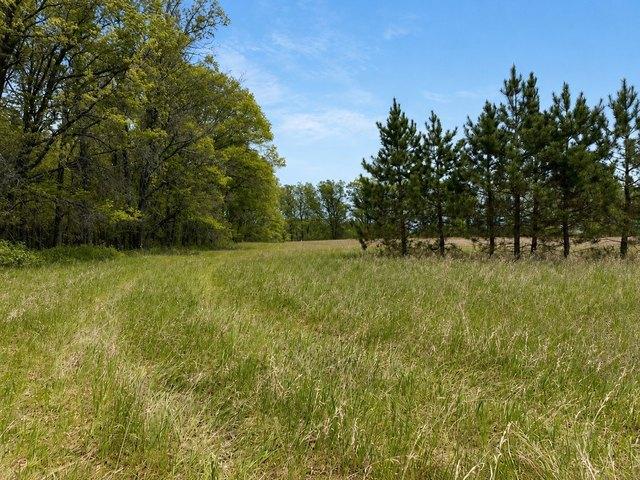 Land for sale in Spooner, Wisconsin