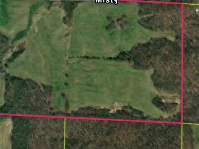 Land for sale in Perry, Illinois