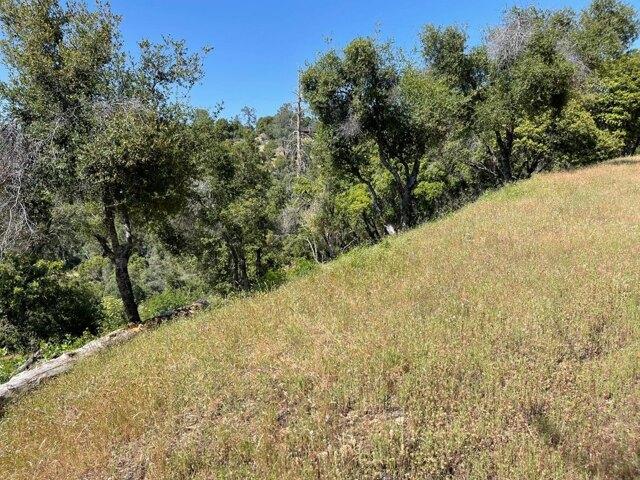 Land for sale in Raymond