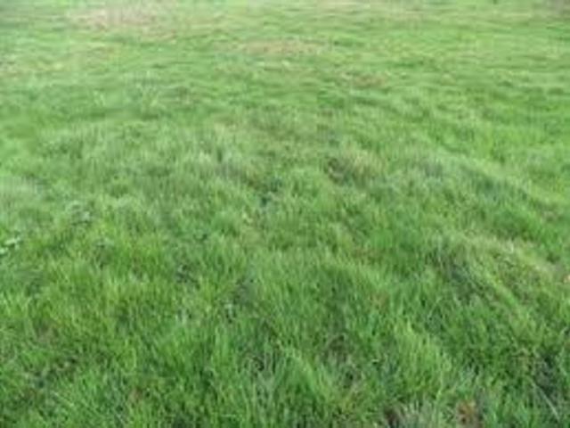 Terrain vente à Misy-sur-yonne