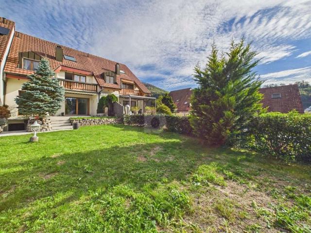 Reihenfamilienhaus kaufen in Duggingen, Bezirk Laufen