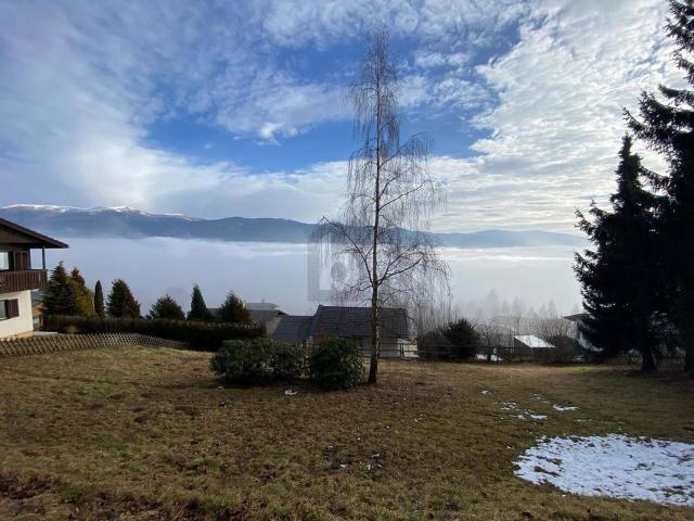 Immobilie kaufen in Reichenfels, Kärnten