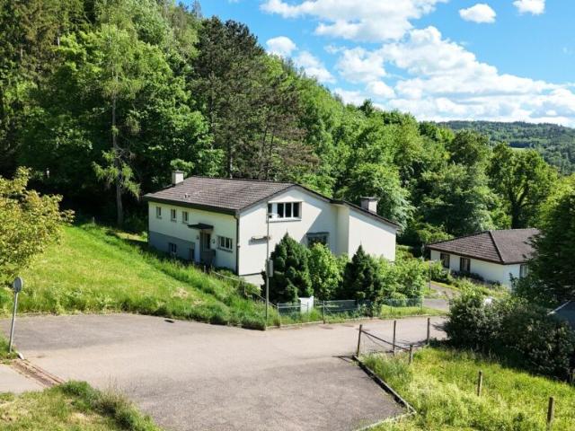 Immobilie kaufen in Liestal, Basel-Landschaft