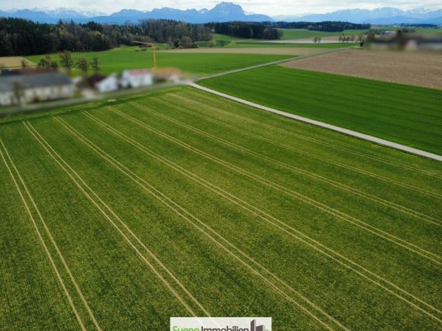 Landwirtschaft kaufen in Bad Wimsbach-Neydharting, Oberösterreich