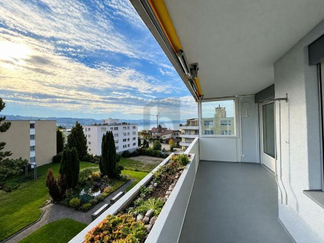Wohnung mieten in Sempach, Lü