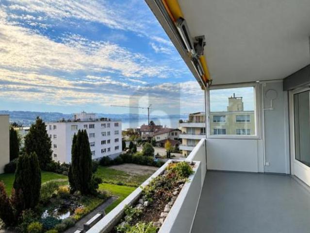 Apartment mieten in Sempach, Lü