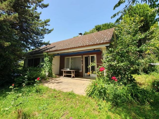 Einfamilienhaus kaufen in Hinwil, Zürich