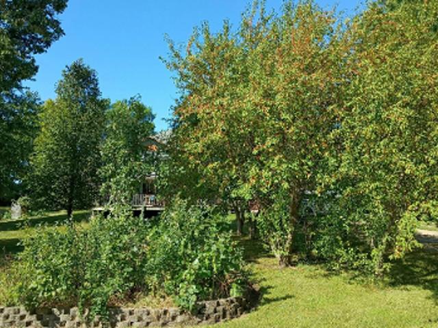 Farm for sale in Middleville Township, Wright County