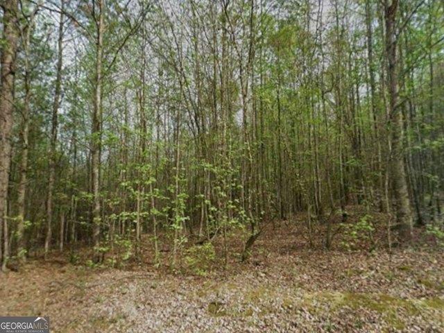 Land for sale in Banks, Georgia