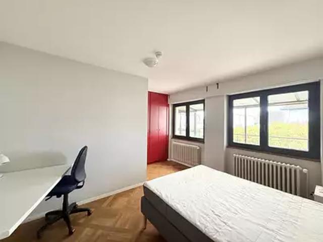 Appartement location à Strasbourg, Mittelhausbergen