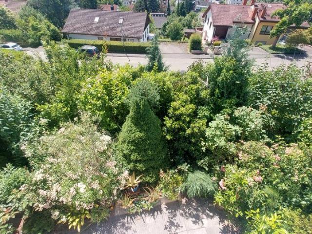 Haus kaufen in Lörrach, Baden-Württemberg