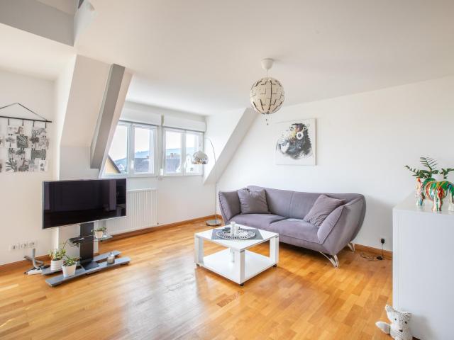 Appartement vente à Colmar-Ribeauvillé, Mittelwihr