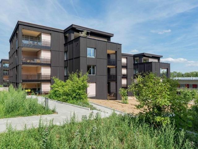 Apartment mieten in Rombach, Aargau