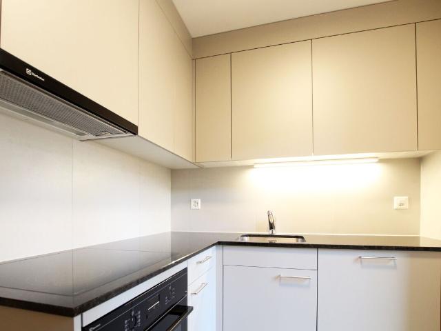 Apartment mieten in Lü