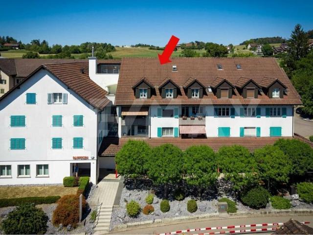 Wohnung kaufen in Gossau (ZH), Zürich