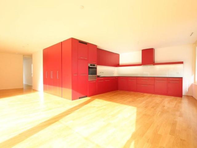Apartment mieten in Altstadt, Luzern