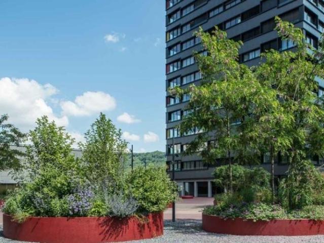 Apartment mieten in Baden, Aargau