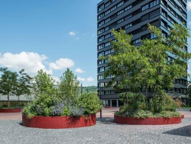 Wohnung mieten in Baden, Aargau