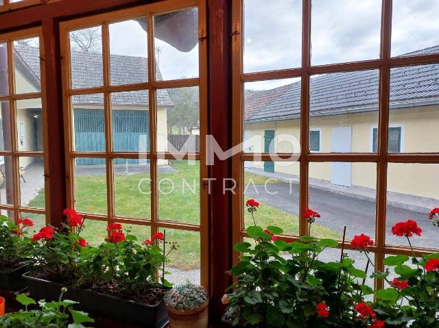 Haus kaufen in Rohrbrunn
