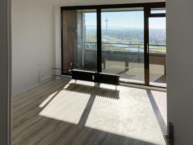 Apartment mieten in Innenstadt, Mannheim