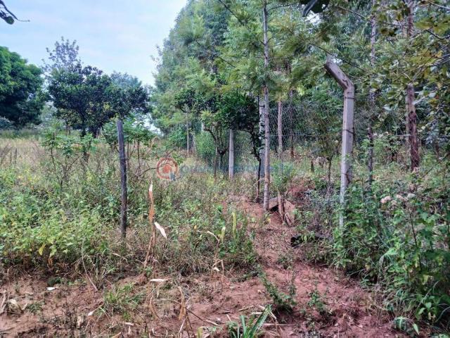 Land for sale in Makuyu, Maragwa