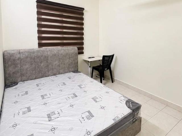 Room for rent in PJU 8, Petaling Jaya