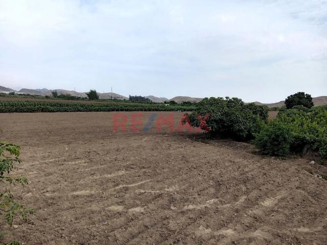 Terreno venta en Canete, Lima Metropolitana