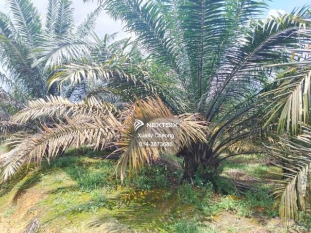 Residential House for sale in Johor