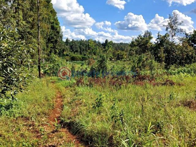 Commercial for sale in Makuyu, Maragwa