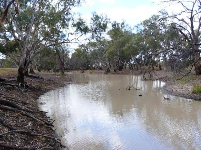 Cottage for sale in Warren, New South Wales