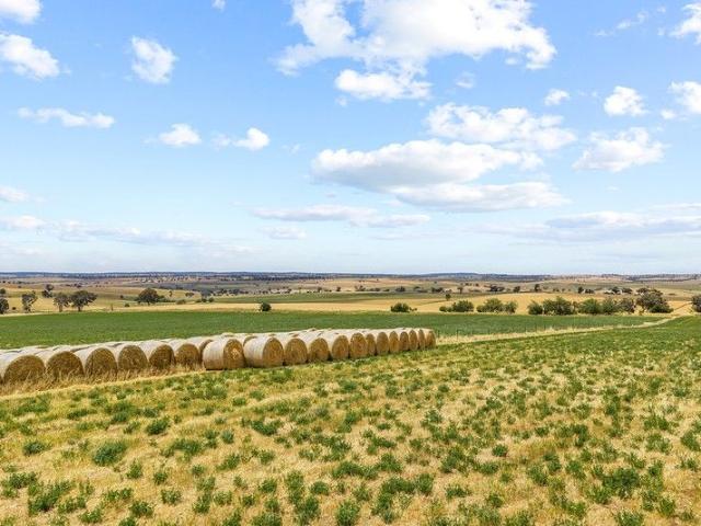 Cottage for sale in Kingsvale, New South Wales