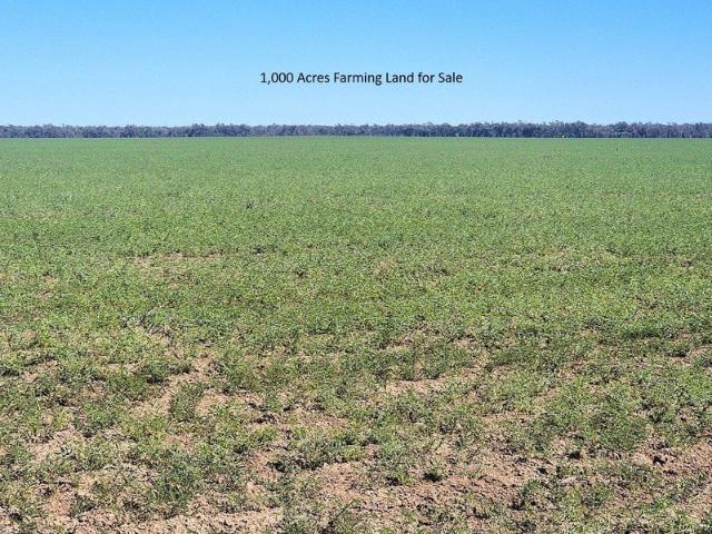 Cottage for sale in Collarenebri, Walgett Shire Council