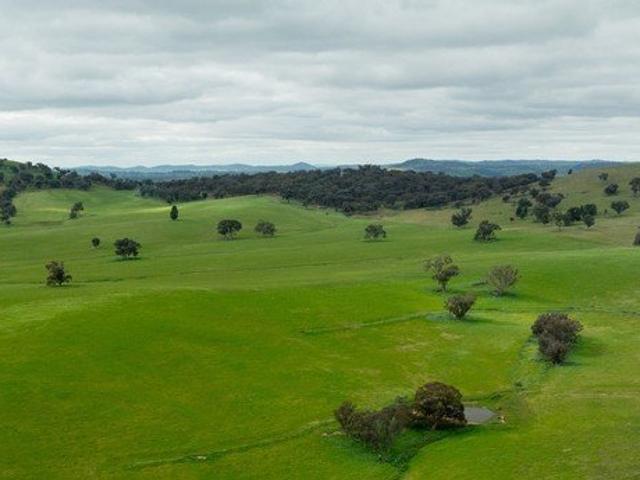 Acreage for sale in Belfrayden, New South Wales