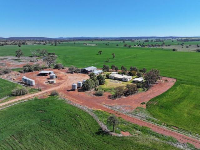 Property for sale in Parkes, New South Wales